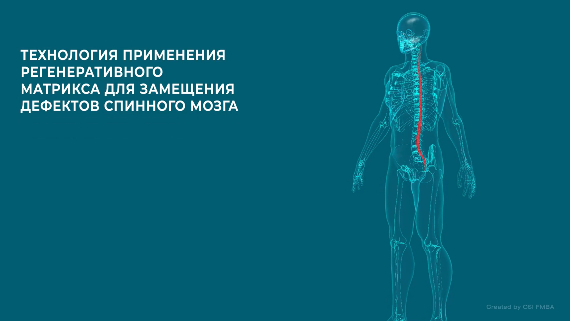ФМБА России запатентовало высокотехнологичный лекарственный препарат и инновационный метод лечения спинальной травмы