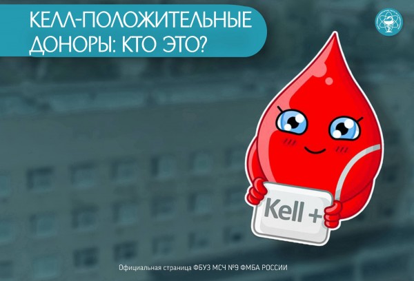 Kell‑положительные доноры: кто они и почему их вклад особенно ценен